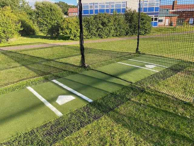 Batting cage mats